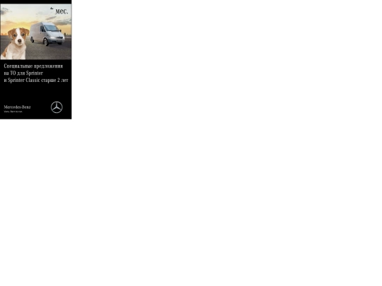 Mercedes/sprinter_dog_/sprinter_dog_adfox_240-400 screenshot