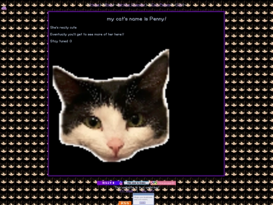 template screenshot