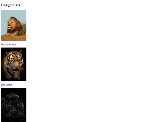 Starter_Gallery_Assignment (1) screenshot