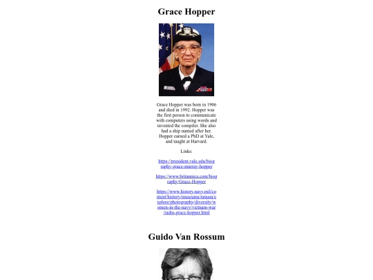 website2 screenshot