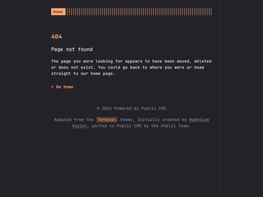404 screenshot