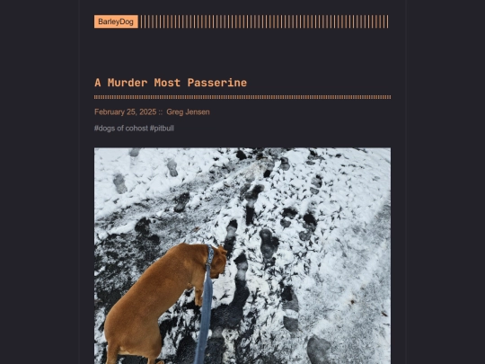 barleydog/post/a-murder-most-passerine screenshot