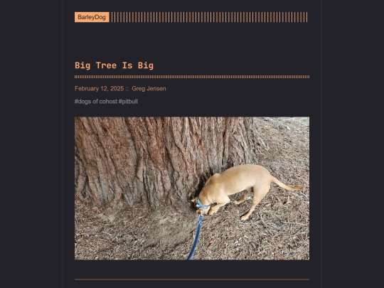 barleydog/post/big-tree-is-big screenshot