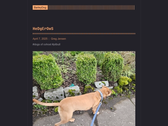 barleydog/post/hedgerows screenshot