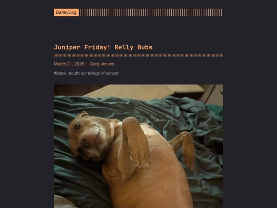 barleydog/post/juniper-friday-relly-bubs screenshot
