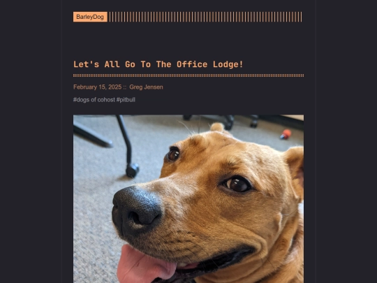 barleydog/post/lets-all-go-to-the-office-lodge screenshot