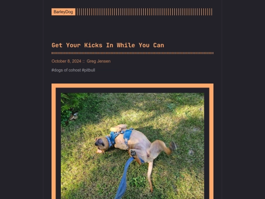 barleydog/post/page/12 screenshot