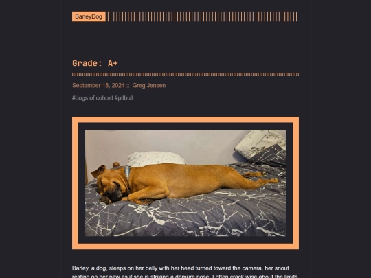 barleydog/post/page/13 screenshot