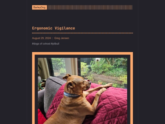 barleydog/post/page/14 screenshot
