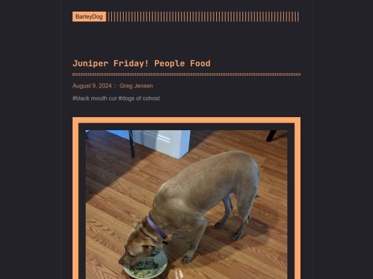 barleydog/post/page/15 screenshot