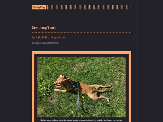 barleydog/post/page/2 screenshot