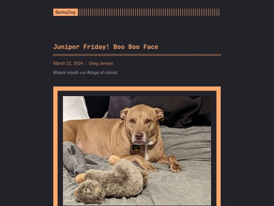 barleydog/post/page/22 screenshot