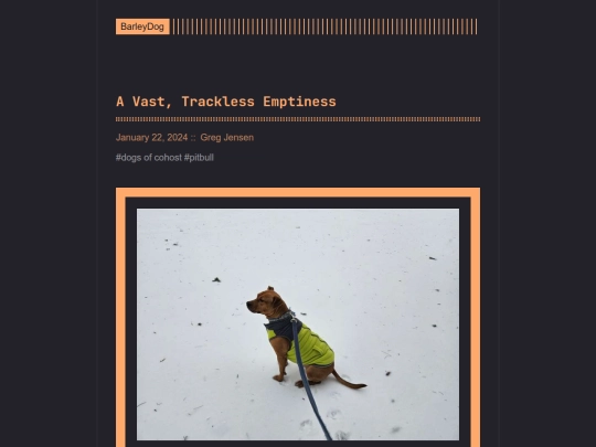barleydog/post/page/25 screenshot