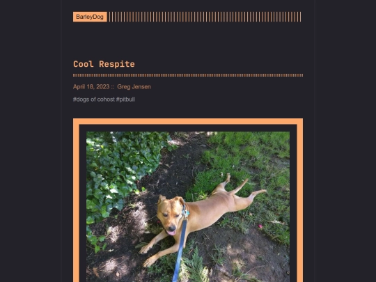 barleydog/post/page/39 screenshot