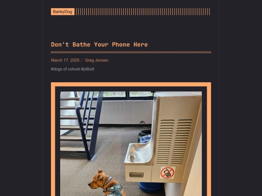 barleydog/post/page/4 screenshot