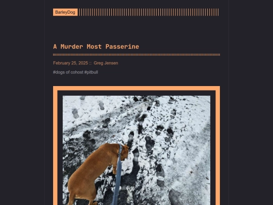 barleydog/post/page/5 screenshot