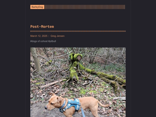 barleydog/post/post-mortem screenshot