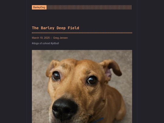 barleydog/post/the-barley-deep-field screenshot