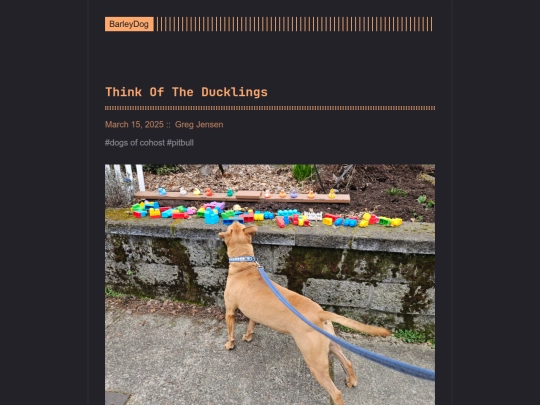 barleydog/post/think-of-the-ducklings screenshot