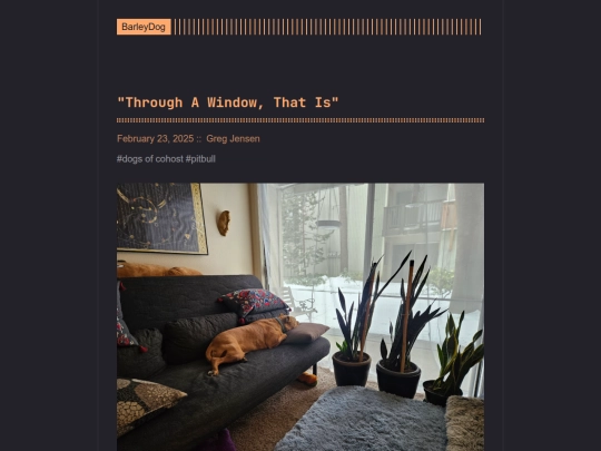 barleydog/post/through-a-window-that-is screenshot