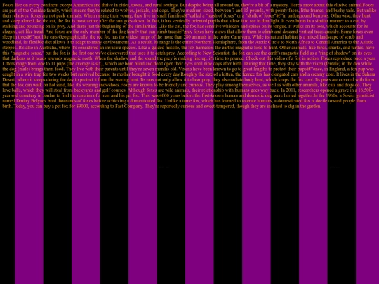 foxb screenshot