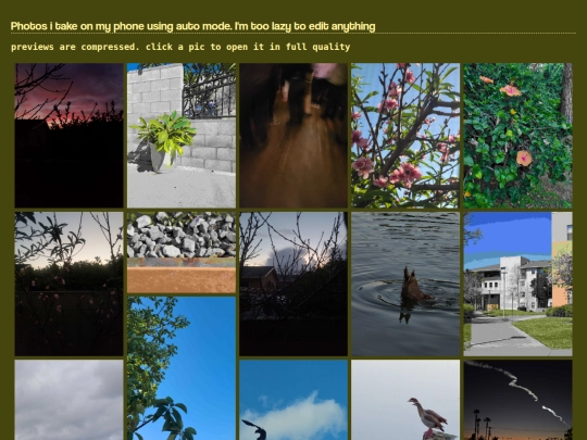 gallery screenshot