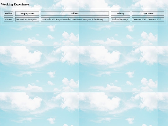 Working experiences screenshot