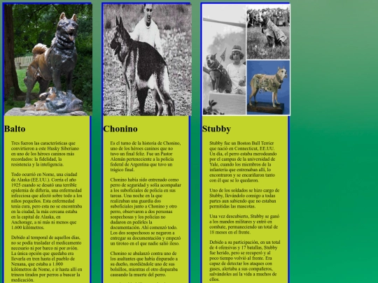 perros2/divertical screenshot
