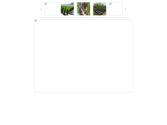 favorite.files/real_p screenshot