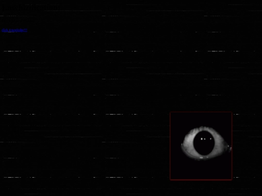 story/schizo screenshot