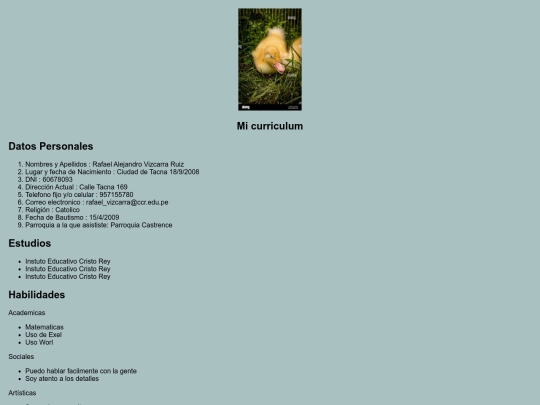 Pagina de mi Curriculum screenshot
