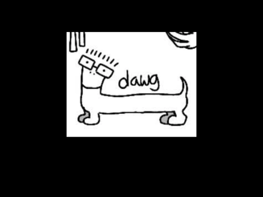 dog screenshot