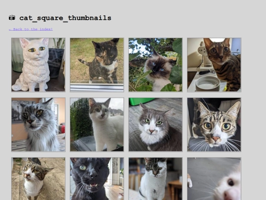 gallery/cat-square-thumbnails screenshot