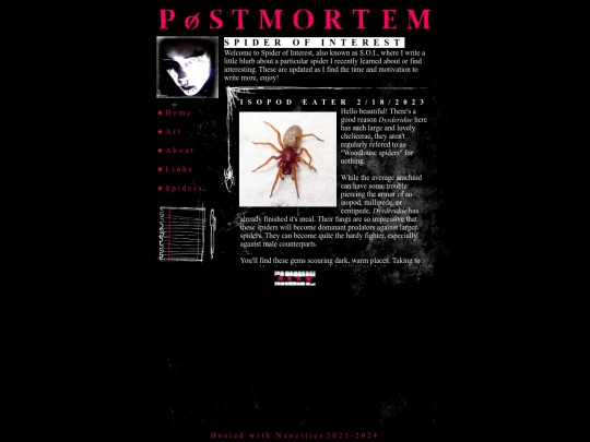 spider screenshot