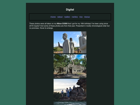 photos/digital screenshot