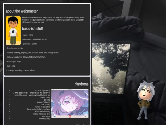 webmaster screenshot