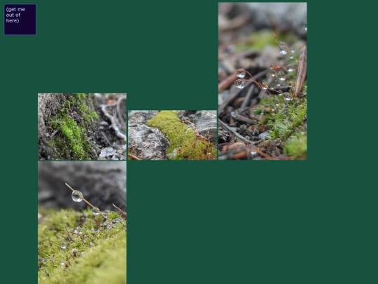 moss screenshot