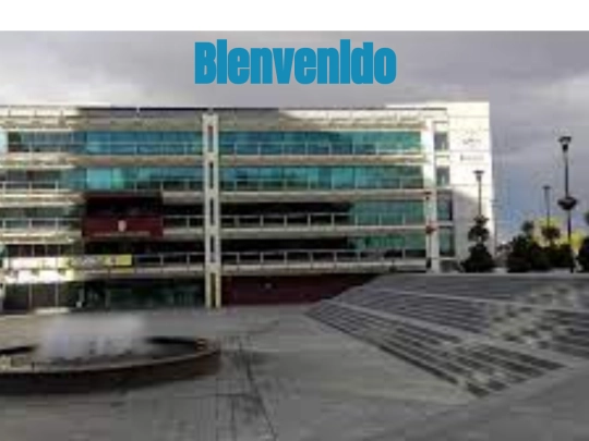 imagen fondo/img fondo screenshot