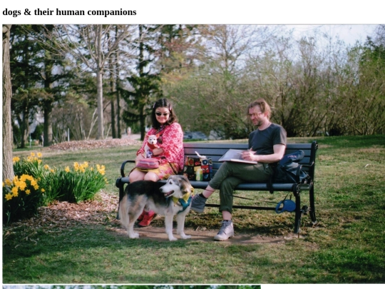 photographs/dogs screenshot