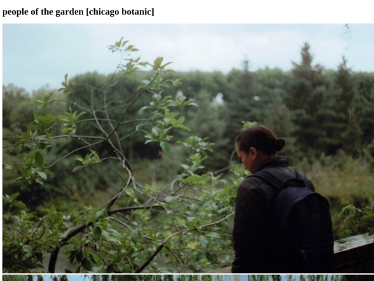 photographs/jardinhabitants screenshot
