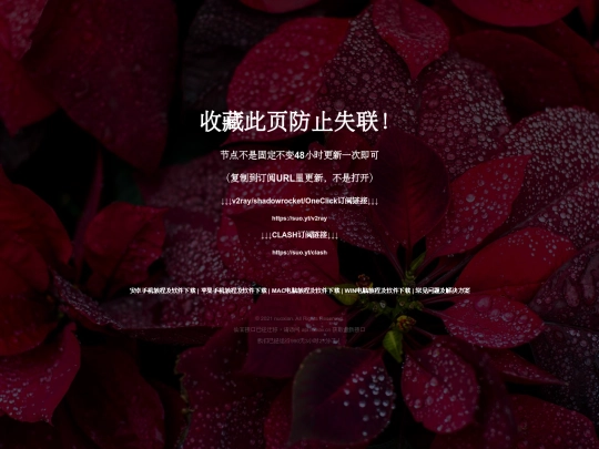sybf screenshot