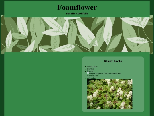 PlantProfiles/Foamflower screenshot
