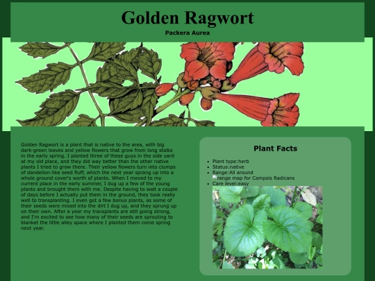 PlantProfiles/GoldenRagwort screenshot