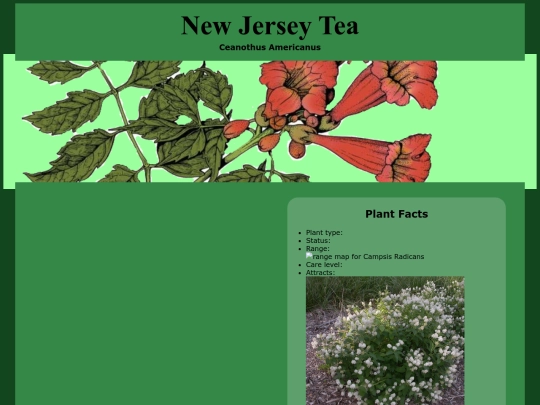 PlantProfiles/NewJerseyTea screenshot