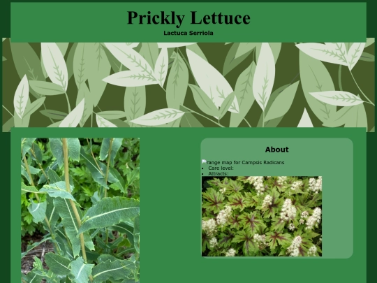 PlantProfiles/PricklyLettuce screenshot