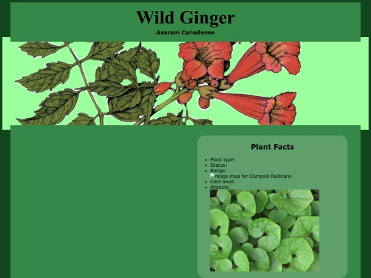 PlantProfiles/WildGinger screenshot