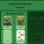 invisible-teacup.neocities.org avatar