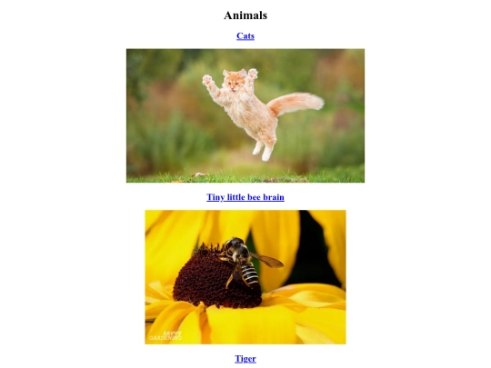 animals screenshot