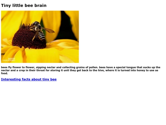 bees screenshot