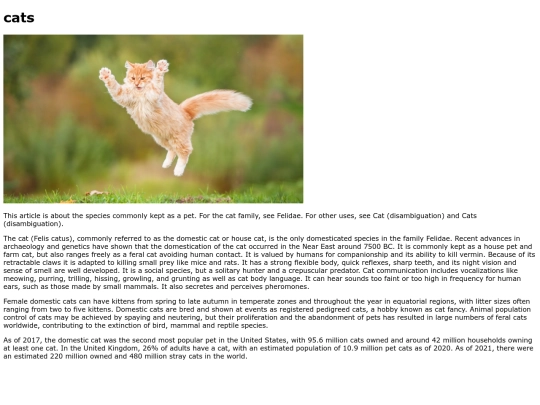 cats screenshot